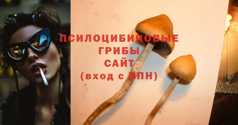 Псилоцибиновые грибы MAGIC MUSHROOMS  Беслан 